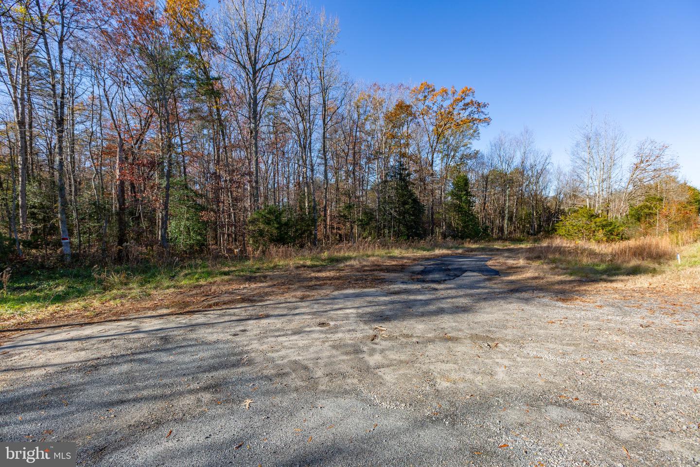 4800 GUINEA STATION RD, FREDERICKSBURG, Virginia 22407, ,Land,For sale,4800 GUINEA STATION RD,VASP2028760 MLS # VASP2028760