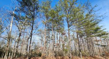 SHORE DR, ORANGE, Virginia 22960, ,Land,For sale,SHORE DR,VAOR2008864 MLS # VAOR2008864