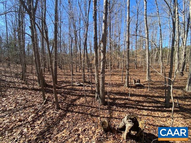 0 PINEHURST DR #LOT 198, GORDONSVILLE, Virginia 22942, ,Land,For sale,0 PINEHURST DR #LOT 198,660695 MLS # 660695