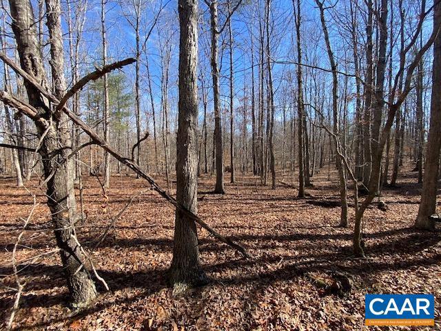 0 PINEHURST DR #LOT 198, GORDONSVILLE, Virginia 22942, ,Land,For sale,0 PINEHURST DR #LOT 198,660695 MLS # 660695