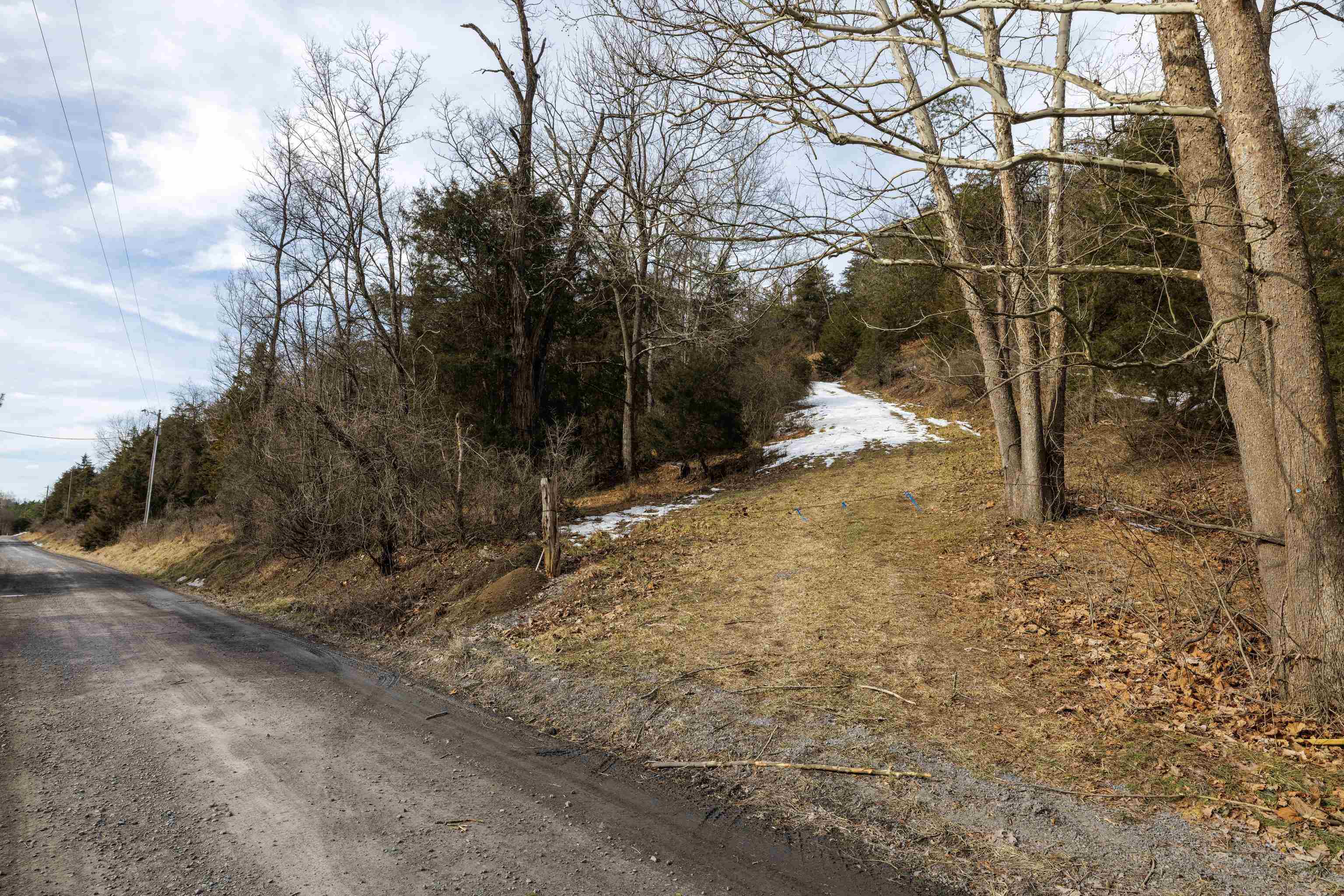 TBD HAPPY VALLEY RD, MOUNT JACKSON, Virginia 22842, ,Land,TBD HAPPY VALLEY RD,660712 MLS # 660712