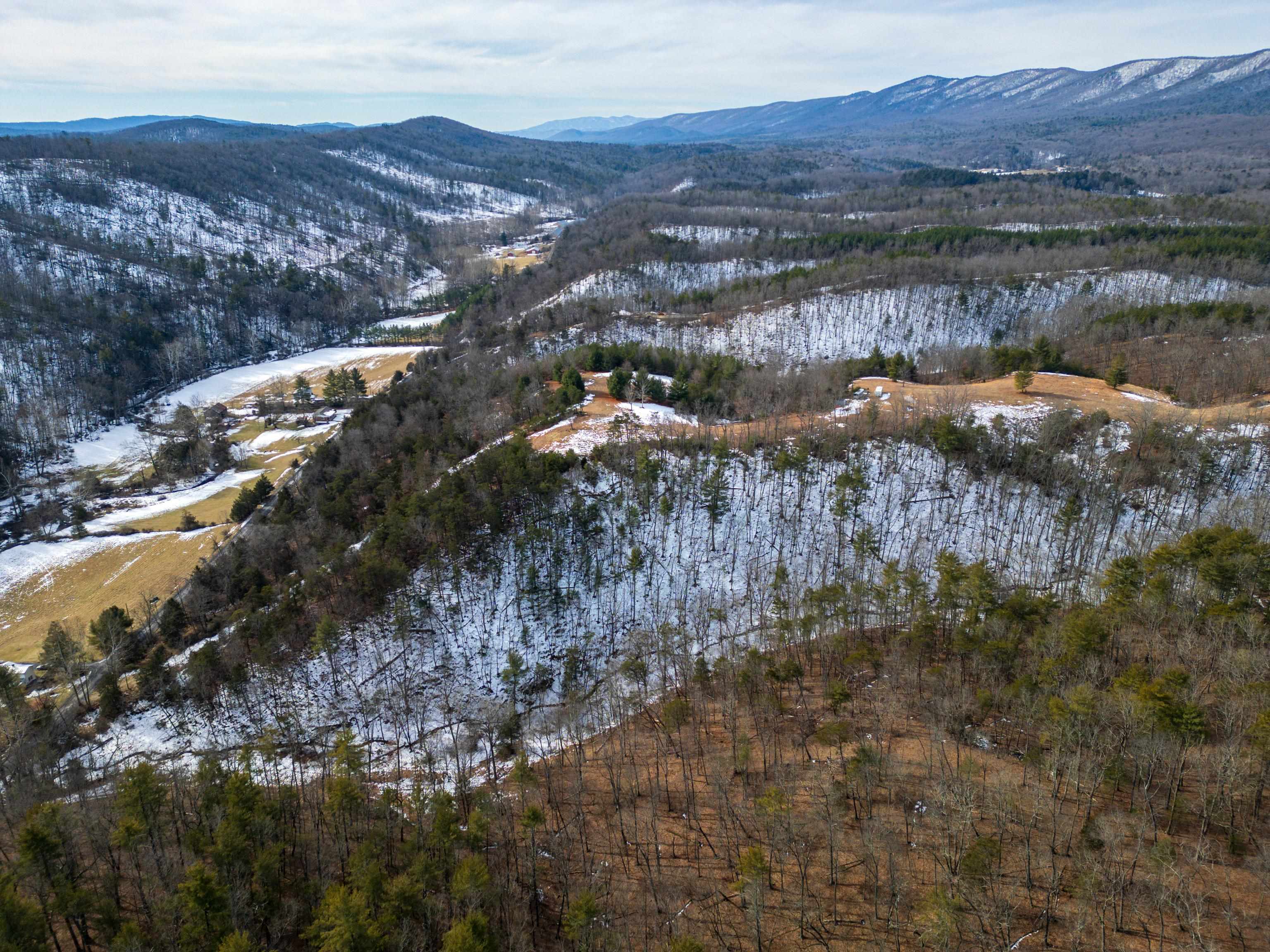 TBD HAPPY VALLEY RD, MOUNT JACKSON, Virginia 22842, ,Land,TBD HAPPY VALLEY RD,660712 MLS # 660712