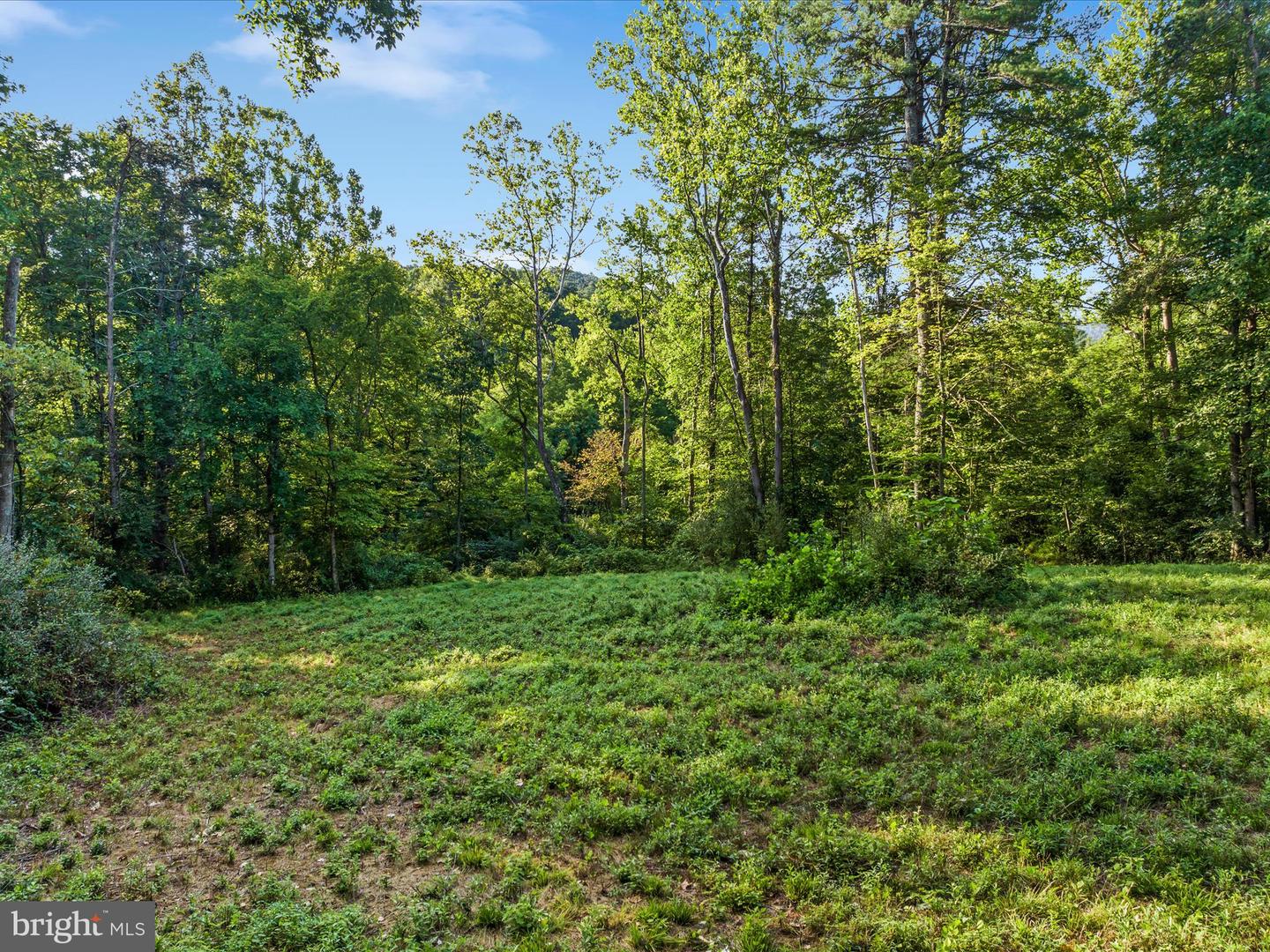 0 GOONEY MANOR LOOP, BENTONVILLE, Virginia 22610, ,Land,For sale,0 GOONEY MANOR LOOP,VAWR2008876 MLS # VAWR2008876