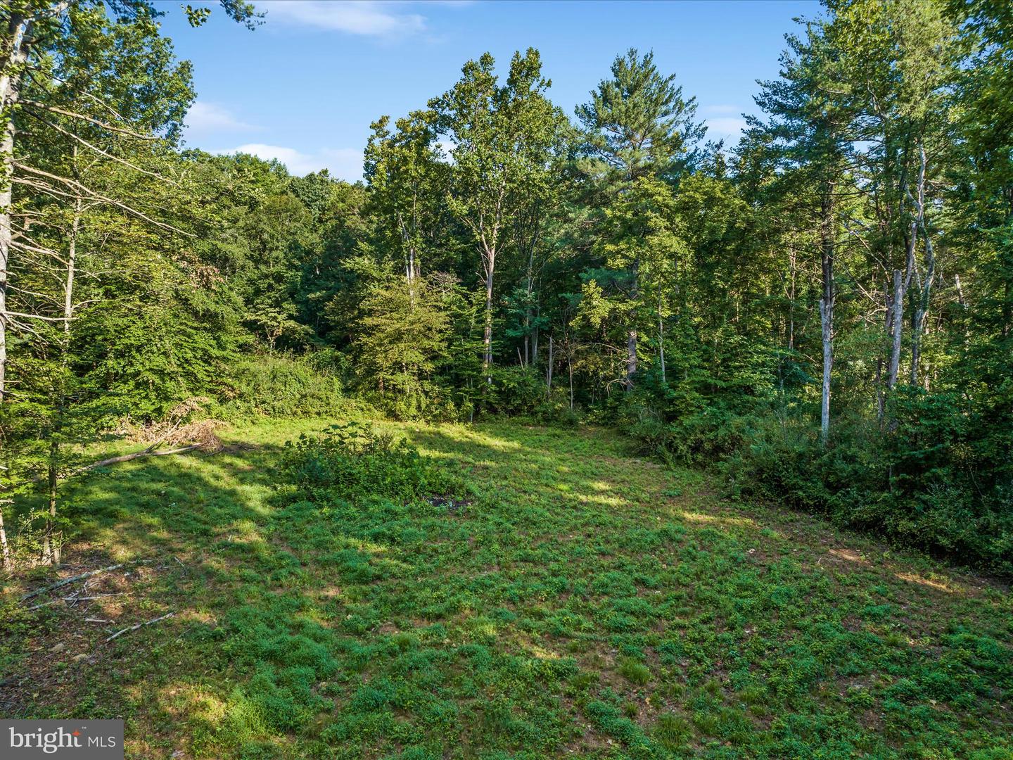 0 GOONEY MANOR LOOP, BENTONVILLE, Virginia 22610, ,Land,For sale,0 GOONEY MANOR LOOP,VAWR2008876 MLS # VAWR2008876