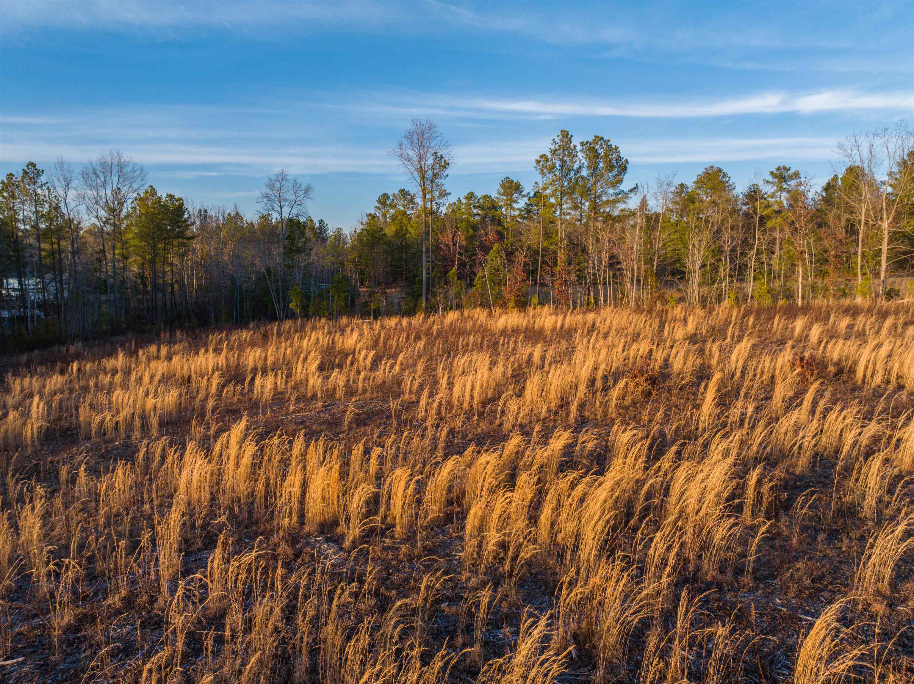 TBD SECRETARYS RD, SCOTTSVILLE, Virginia 24590, ,Land,TBD SECRETARYS RD,660730 MLS # 660730