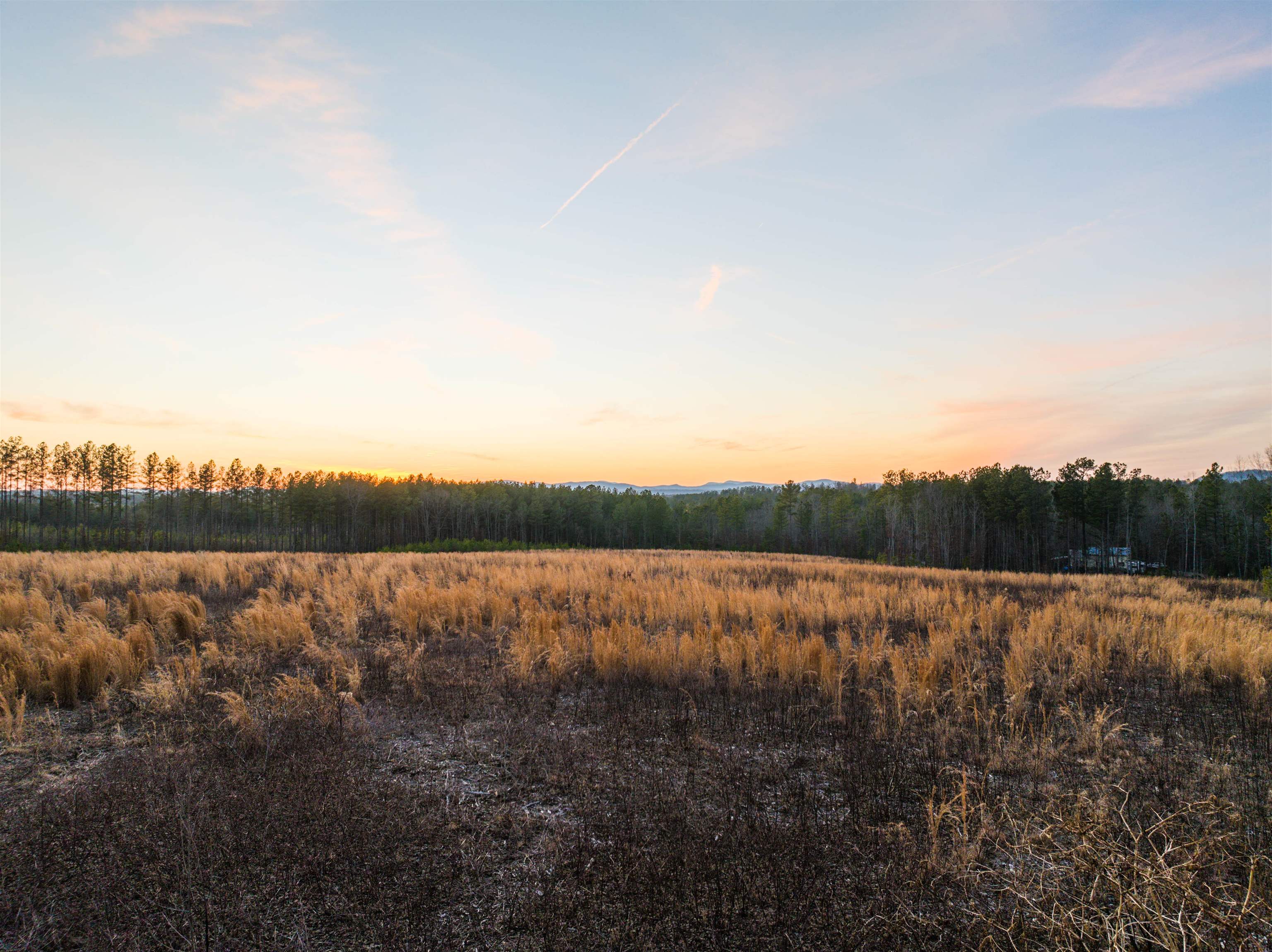 TBD SECRETARYS RD, SCOTTSVILLE, Virginia 24590, ,Land,TBD SECRETARYS RD,660730 MLS # 660730