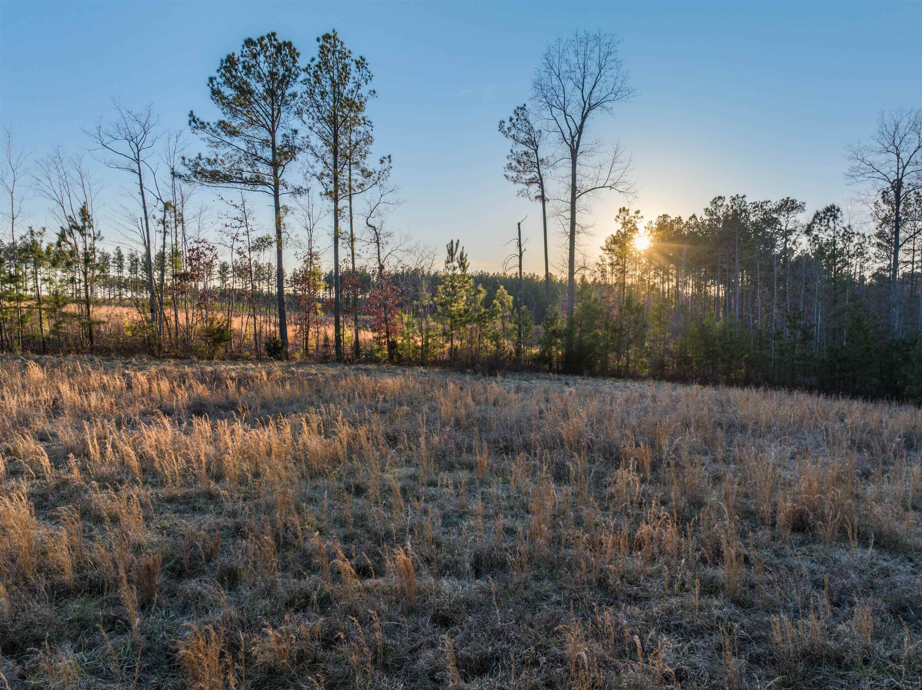 TBD SECRETARYS RD, SCOTTSVILLE, Virginia 24590, ,Land,TBD SECRETARYS RD,660730 MLS # 660730