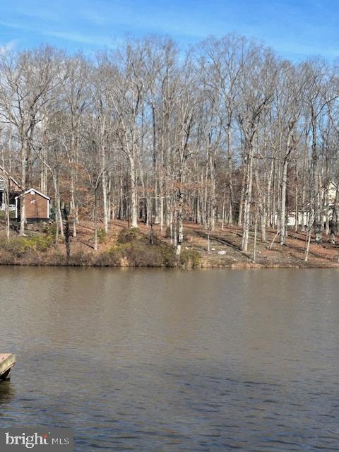 319 PINE HARBOUR, MINERAL, Virginia 23117, 3 Bedrooms Bedrooms, ,2 BathroomsBathrooms,Residential,319 PINE HARBOUR,VALA2007206 MLS # VALA2007206