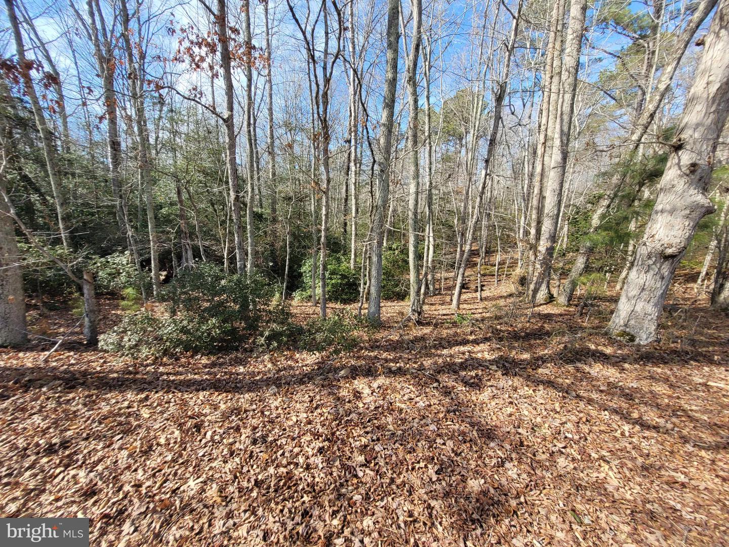 00A BOGEY NECK RD, HEATHSVILLE, Virginia 22473, ,Land,For sale,00A BOGEY NECK RD,VANV2001410 MLS # VANV2001410