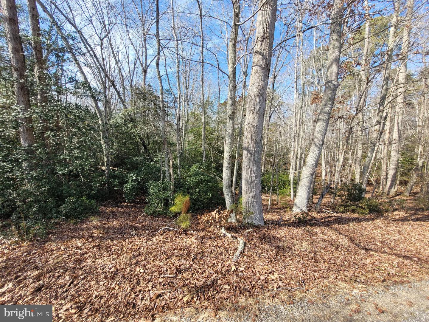 00A BOGEY NECK RD, HEATHSVILLE, Virginia 22473, ,Land,For sale,00A BOGEY NECK RD,VANV2001410 MLS # VANV2001410