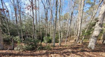 00A BOGEY NECK RD, HEATHSVILLE, Virginia 22473, ,Land,For sale,00A BOGEY NECK RD,VANV2001410 MLS # VANV2001410