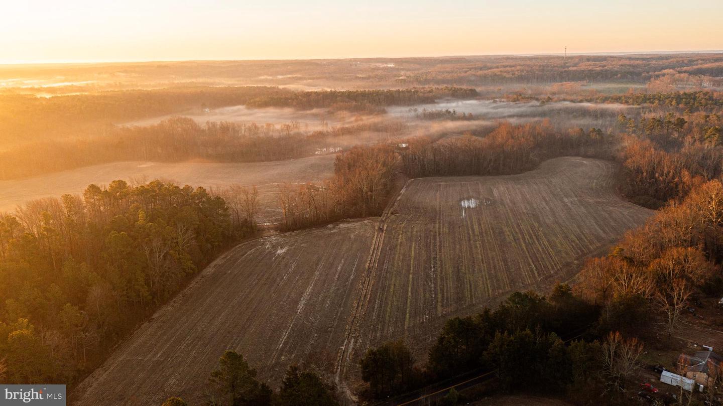 TBD STONEY KNOLL RD, KING GEORGE, Virginia 22485, ,Farm,For sale,TBD STONEY KNOLL RD,VAKG2006006 MLS # VAKG2006006