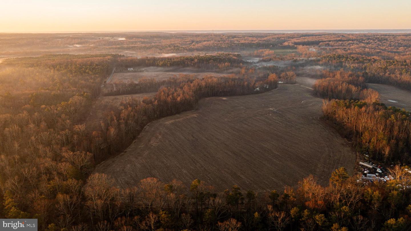 TBD STONEY KNOLL RD, KING GEORGE, Virginia 22485, ,Farm,For sale,TBD STONEY KNOLL RD,VAKG2006006 MLS # VAKG2006006