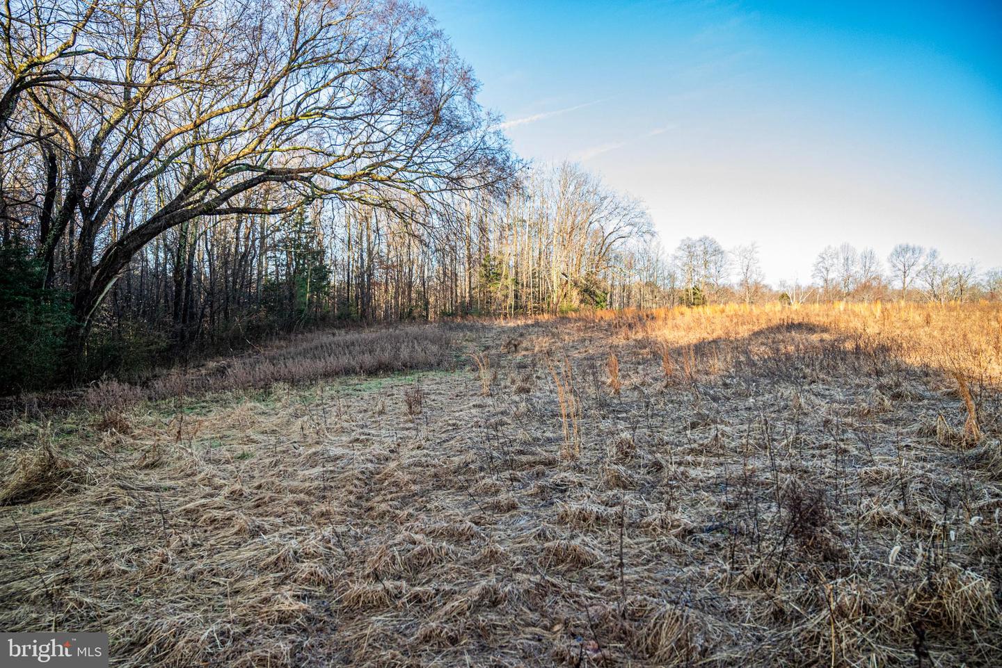 TBD STONEY KNOLL RD, KING GEORGE, Virginia 22485, ,Farm,For sale,TBD STONEY KNOLL RD,VAKG2006006 MLS # VAKG2006006