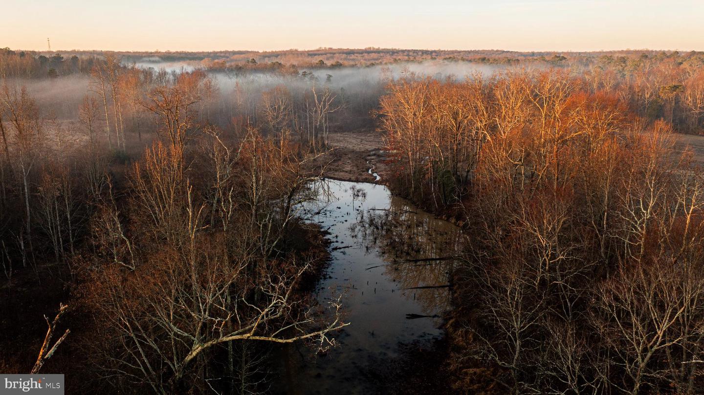 TBD STONEY KNOLL RD, KING GEORGE, Virginia 22485, ,Farm,For sale,TBD STONEY KNOLL RD,VAKG2006006 MLS # VAKG2006006