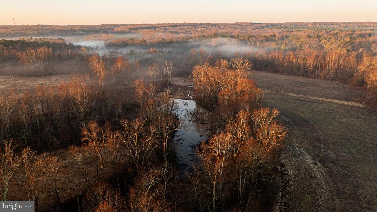 TBD STONEY KNOLL RD, KING GEORGE, Virginia 22485, ,Farm,For sale,TBD STONEY KNOLL RD,VAKG2006006 MLS # VAKG2006006