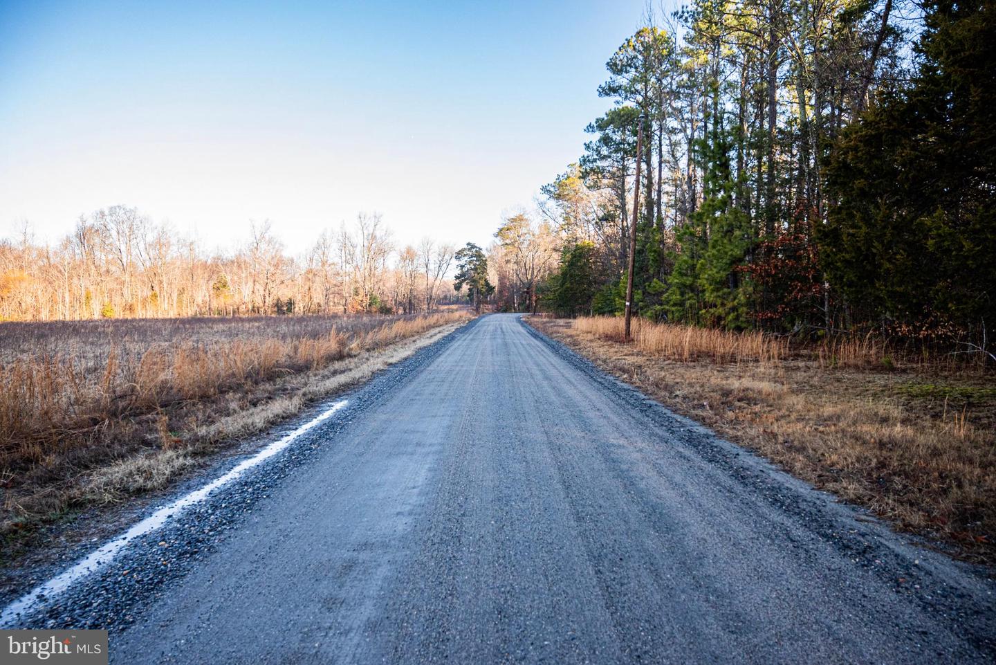 TBD STONEY KNOLL RD, KING GEORGE, Virginia 22485, ,Farm,For sale,TBD STONEY KNOLL RD,VAKG2006006 MLS # VAKG2006006