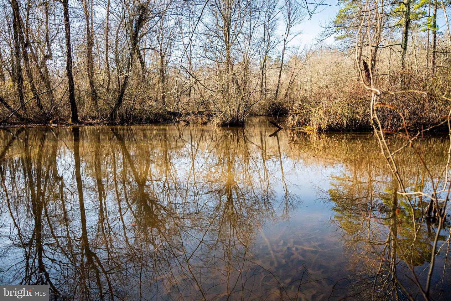 TBD STONEY KNOLL RD, KING GEORGE, Virginia 22485, ,Farm,For sale,TBD STONEY KNOLL RD,VAKG2006006 MLS # VAKG2006006