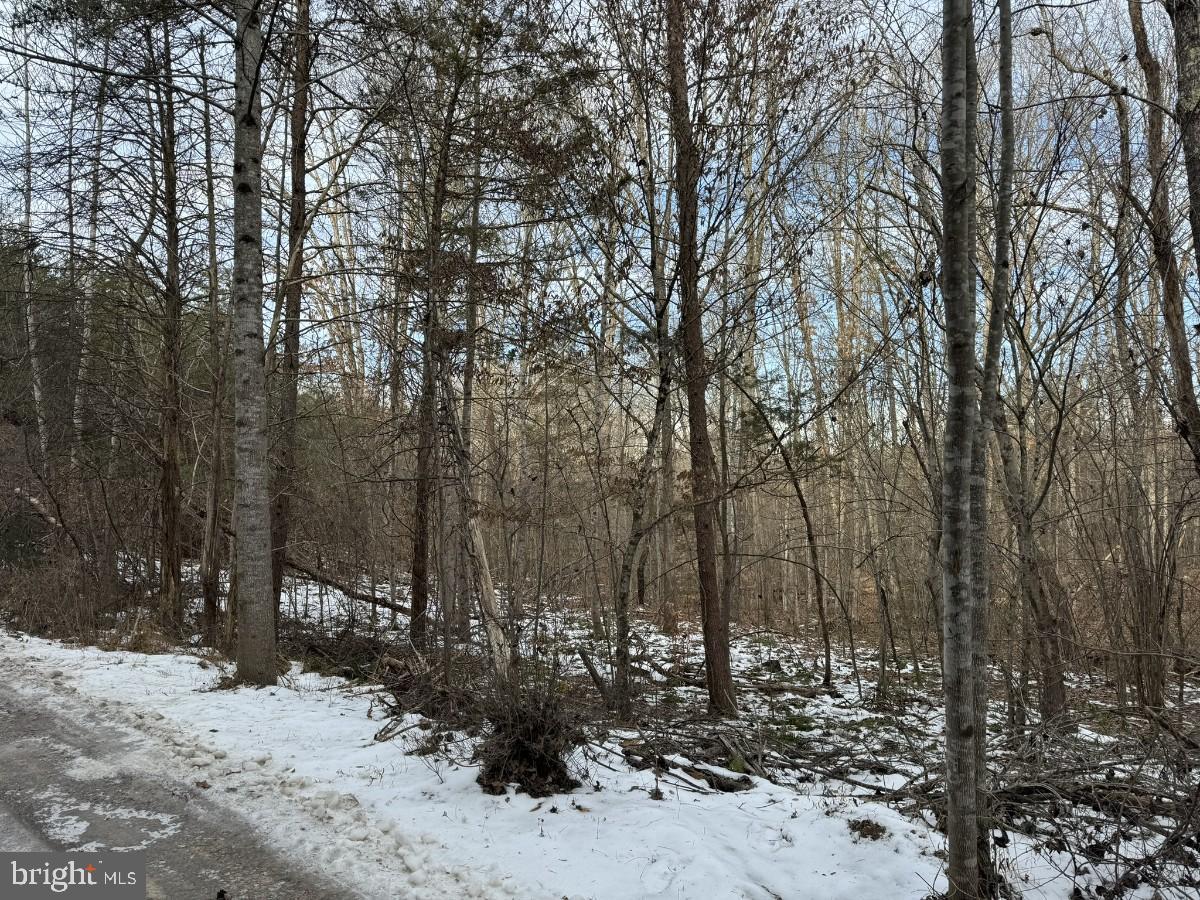 NEW FORK CHURCH RD, PALMYRA, Virginia 22963, ,Land,For sale,NEW FORK CHURCH RD,VAFN2000410 MLS # VAFN2000410