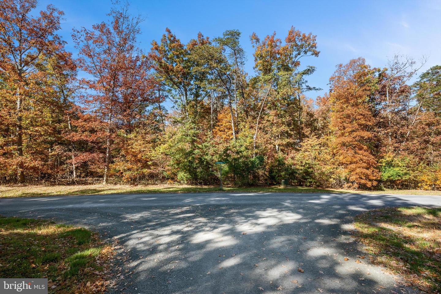 SPRINGWOOD LN #LOT 20, STEPHENS CITY, Virginia 22655, ,Land,For sale,SPRINGWOOD LN #LOT 20,VAWR2010324 MLS # VAWR2010324