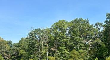 SPRINGWOOD LN #LOT 20, STEPHENS CITY, Virginia 22655, ,Land,For sale,SPRINGWOOD LN #LOT 20,VAWR2010324 MLS # VAWR2010324