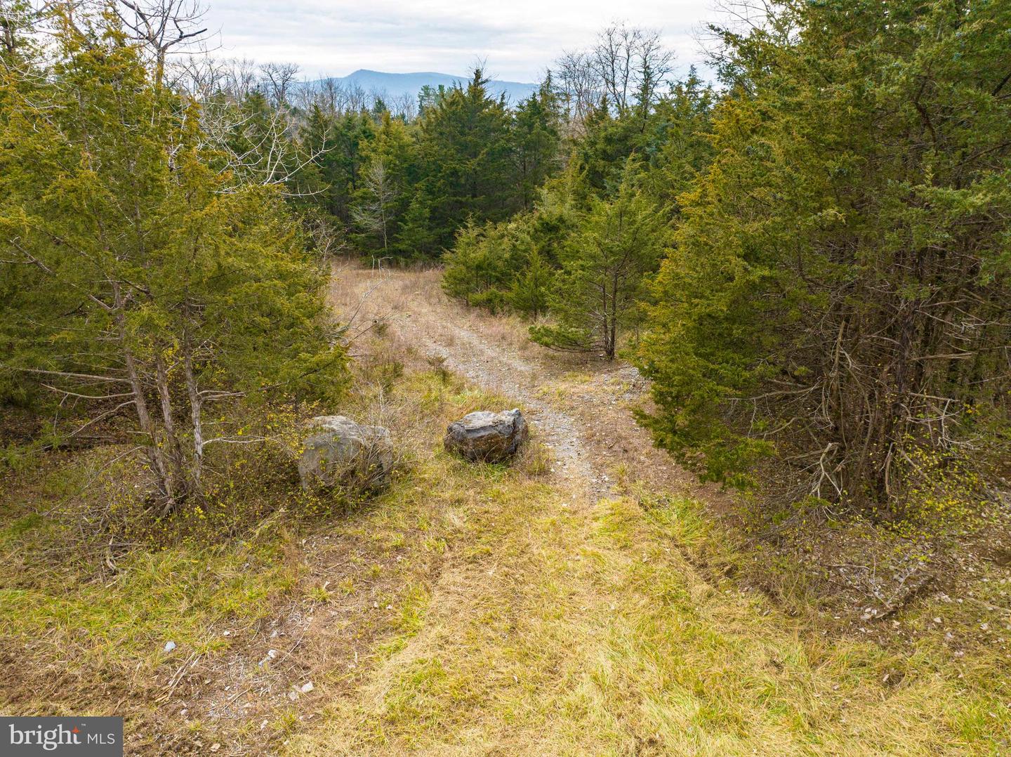 LOT 2, 3, 13 RADIO STATION RD, STRASBURG, Virginia 22657, ,Land,For sale,LOT 2, 3, 13 RADIO STATION RD,VASH2010662 MLS # VASH2010662