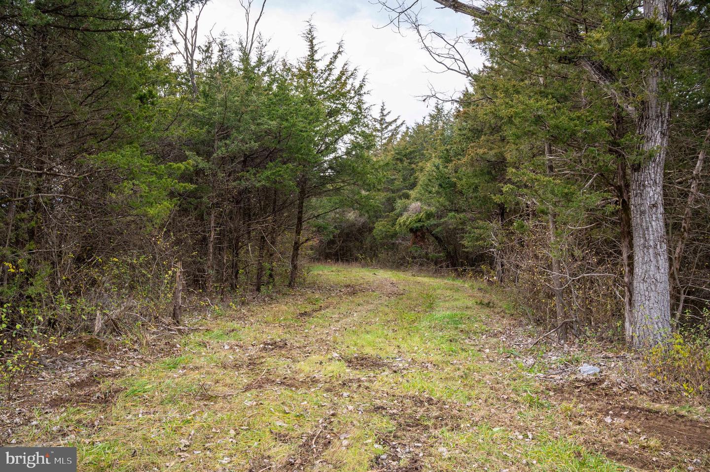 LOT 2, 3, 13 RADIO STATION RD, STRASBURG, Virginia 22657, ,Land,For sale,LOT 2, 3, 13 RADIO STATION RD,VASH2010662 MLS # VASH2010662