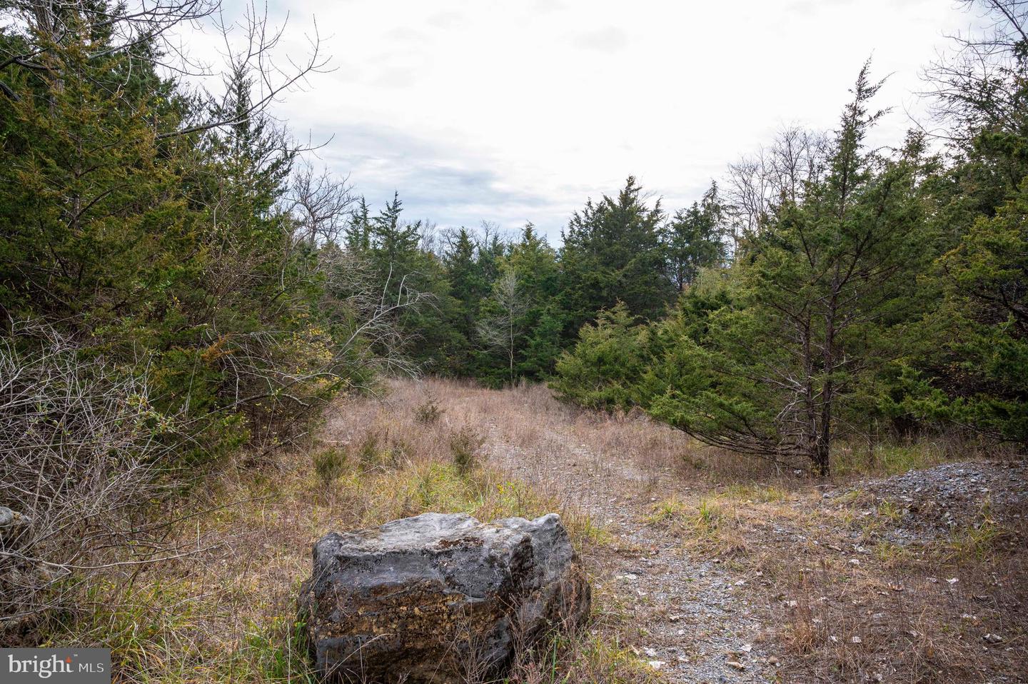 LOT 2, 3, 13 RADIO STATION RD, STRASBURG, Virginia 22657, ,Land,For sale,LOT 2, 3, 13 RADIO STATION RD,VASH2010662 MLS # VASH2010662