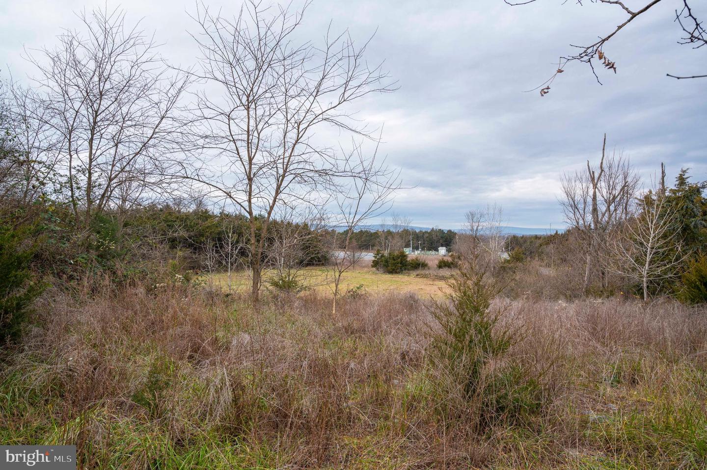 LOT 2, 3, 13 RADIO STATION RD, STRASBURG, Virginia 22657, ,Land,For sale,LOT 2, 3, 13 RADIO STATION RD,VASH2010662 MLS # VASH2010662