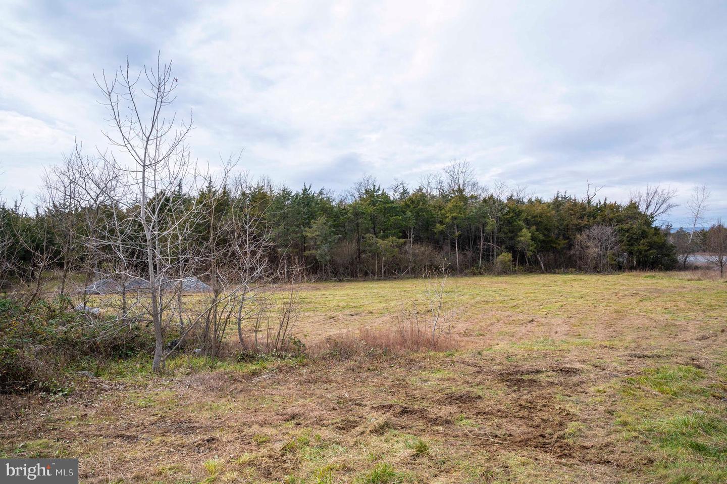 LOT 2, 3, 13 RADIO STATION RD, STRASBURG, Virginia 22657, ,Land,For sale,LOT 2, 3, 13 RADIO STATION RD,VASH2010662 MLS # VASH2010662