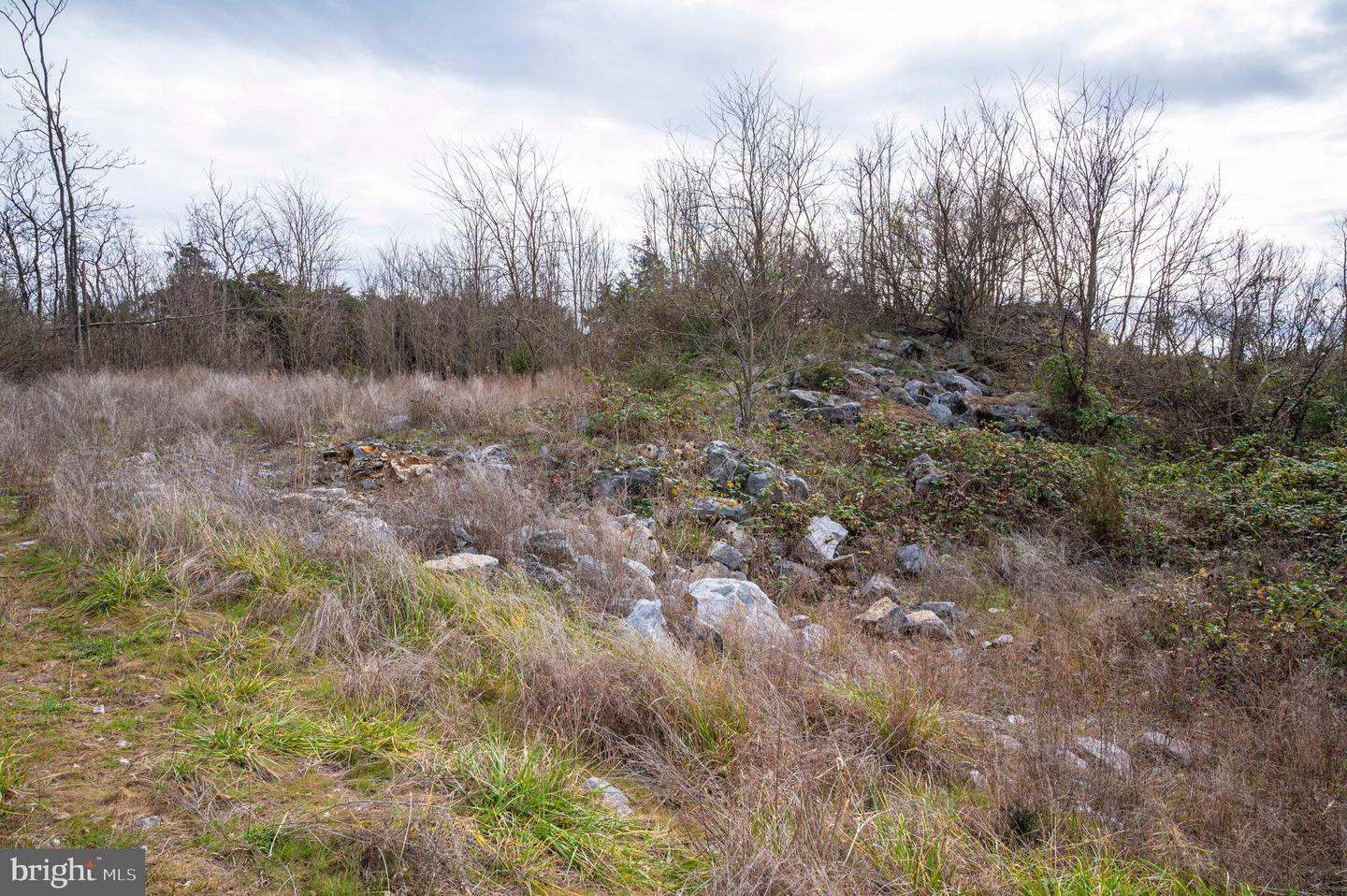 LOT 2, 3, 13 RADIO STATION RD, STRASBURG, Virginia 22657, ,Land,For sale,LOT 2, 3, 13 RADIO STATION RD,VASH2010662 MLS # VASH2010662