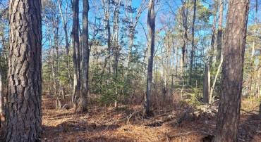 LOT 21 ORANGE DRIVE, HAGUE, Virginia 22469, ,Land,For sale,LOT 21 ORANGE DRIVE,VAWE2008206 MLS # VAWE2008206