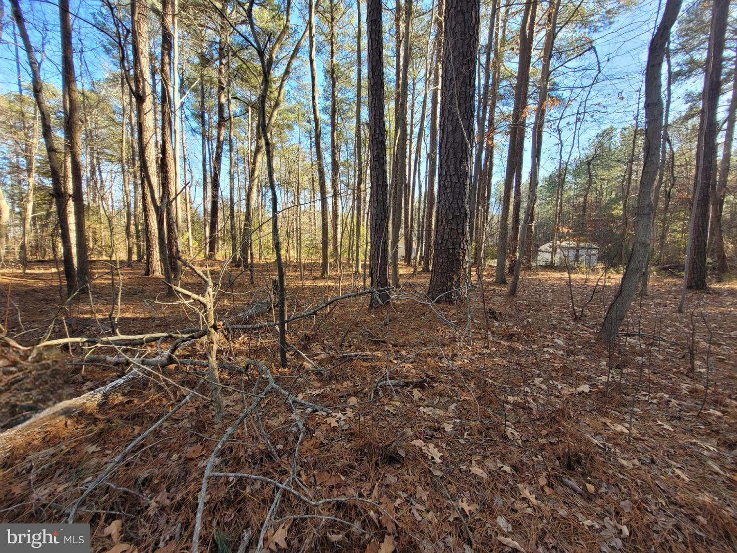 LOT 7 DIAMOND DRIVE, HAGUE, Virginia 22469, ,Land,For sale,LOT 7 DIAMOND DRIVE,VAWE2008208 MLS # VAWE2008208