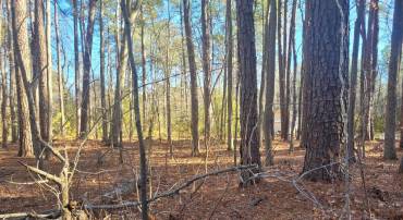 LOT 7 DIAMOND DRIVE, HAGUE, Virginia 22469, ,Land,For sale,LOT 7 DIAMOND DRIVE,VAWE2008208 MLS # VAWE2008208