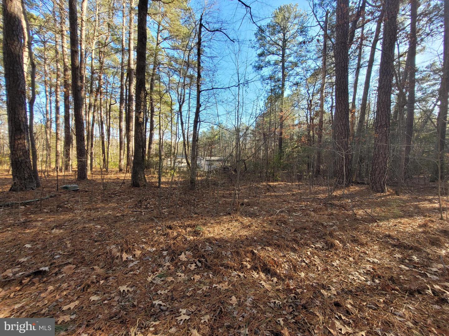 LOT 8 DIAMOND DRIVE, HAGUE, Virginia 22469, ,Land,For sale,LOT 8 DIAMOND DRIVE,VAWE2008210 MLS # VAWE2008210