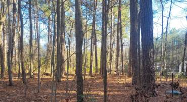 LOT 8 DIAMOND DRIVE, HAGUE, Virginia 22469, ,Land,For sale,LOT 8 DIAMOND DRIVE,VAWE2008210 MLS # VAWE2008210