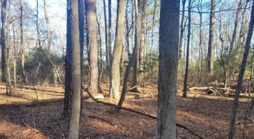 LOT 13 HOLIDAY LANE, HAGUE, Virginia 22469, ,Land,For sale,LOT 13 HOLIDAY LANE,VAWE2008212 MLS # VAWE2008212