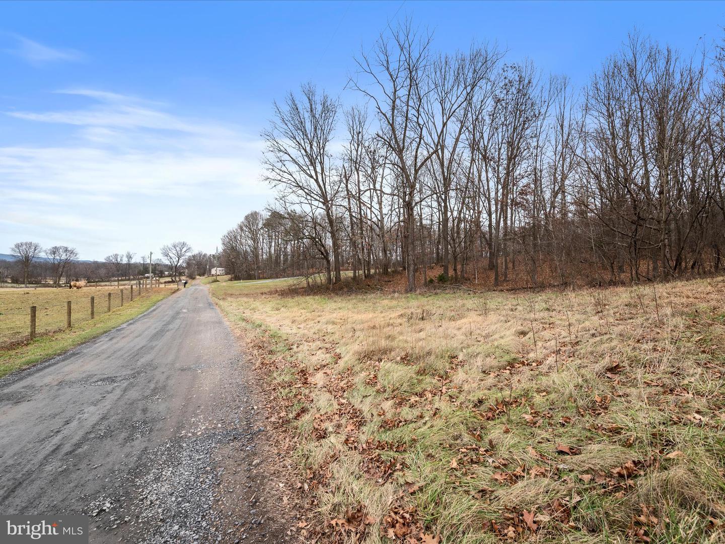 MAHLON LN, WOODSTOCK, Virginia 22664, ,Land,For sale,MAHLON LN,VASH2010664 MLS # VASH2010664