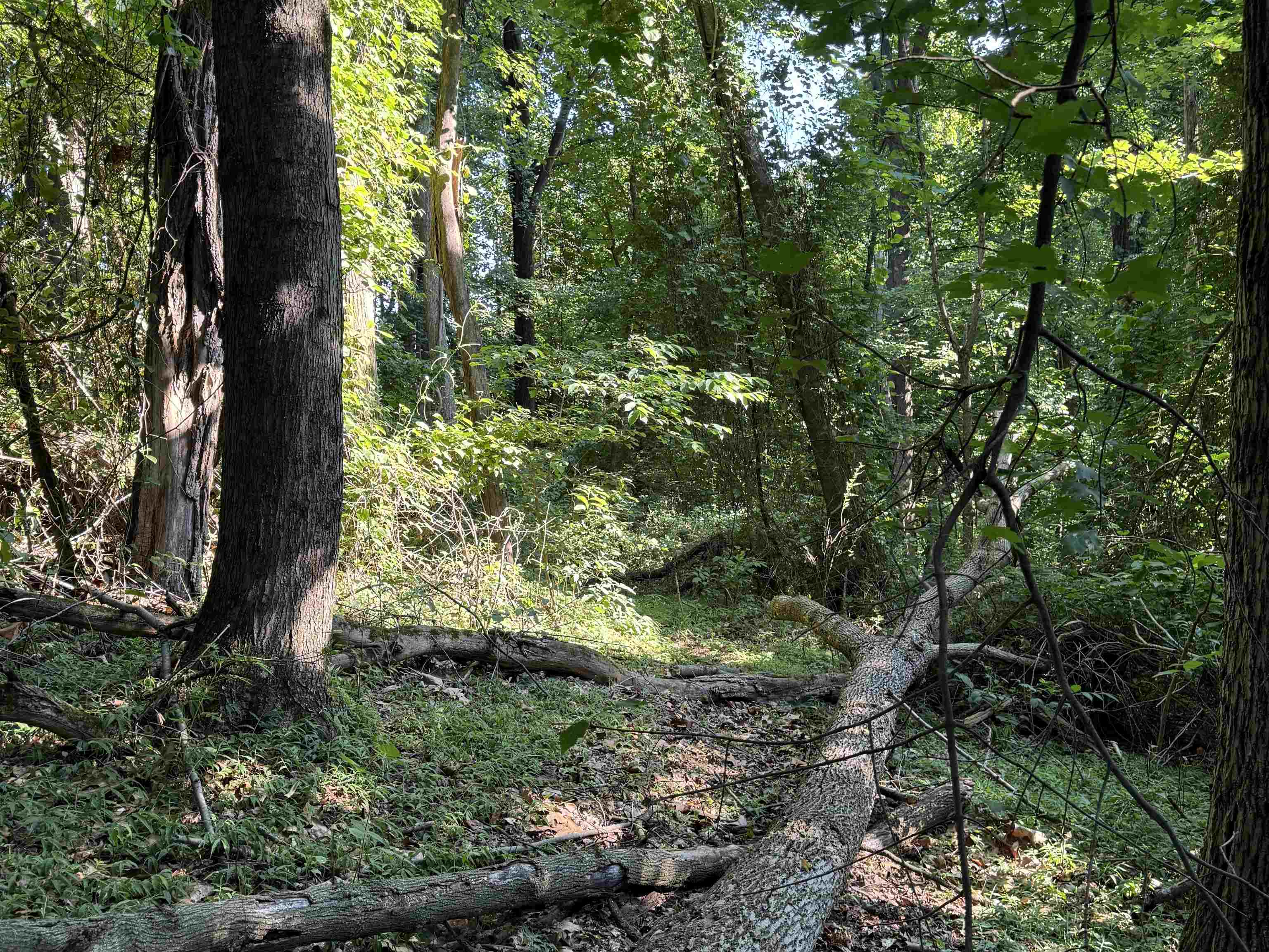 TBD WHISPERING LN, STANLEY, Virginia 22851, ,Land,TBD Whispering Lane- Lot 17, Stanley VA 22851,TBD WHISPERING LN,660792 MLS # 660792