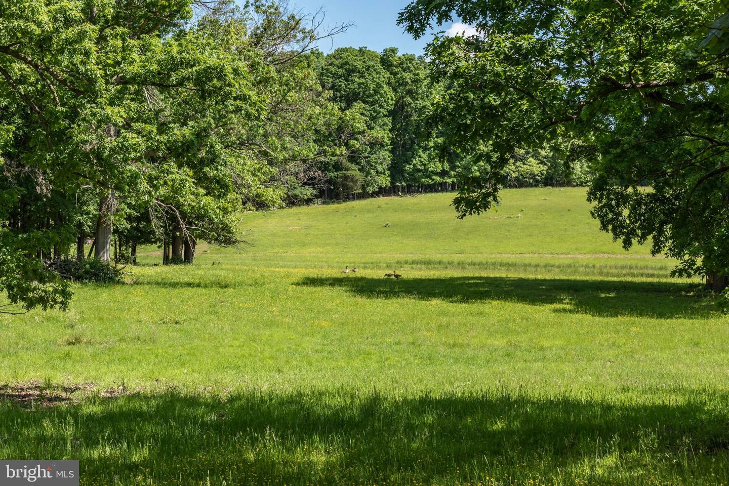 LOT 9A SLATE LANE, STEPHENSON, Virginia 22656, ,Land,For sale,LOT 9A SLATE LANE,VAFV2024320 MLS # VAFV2024320