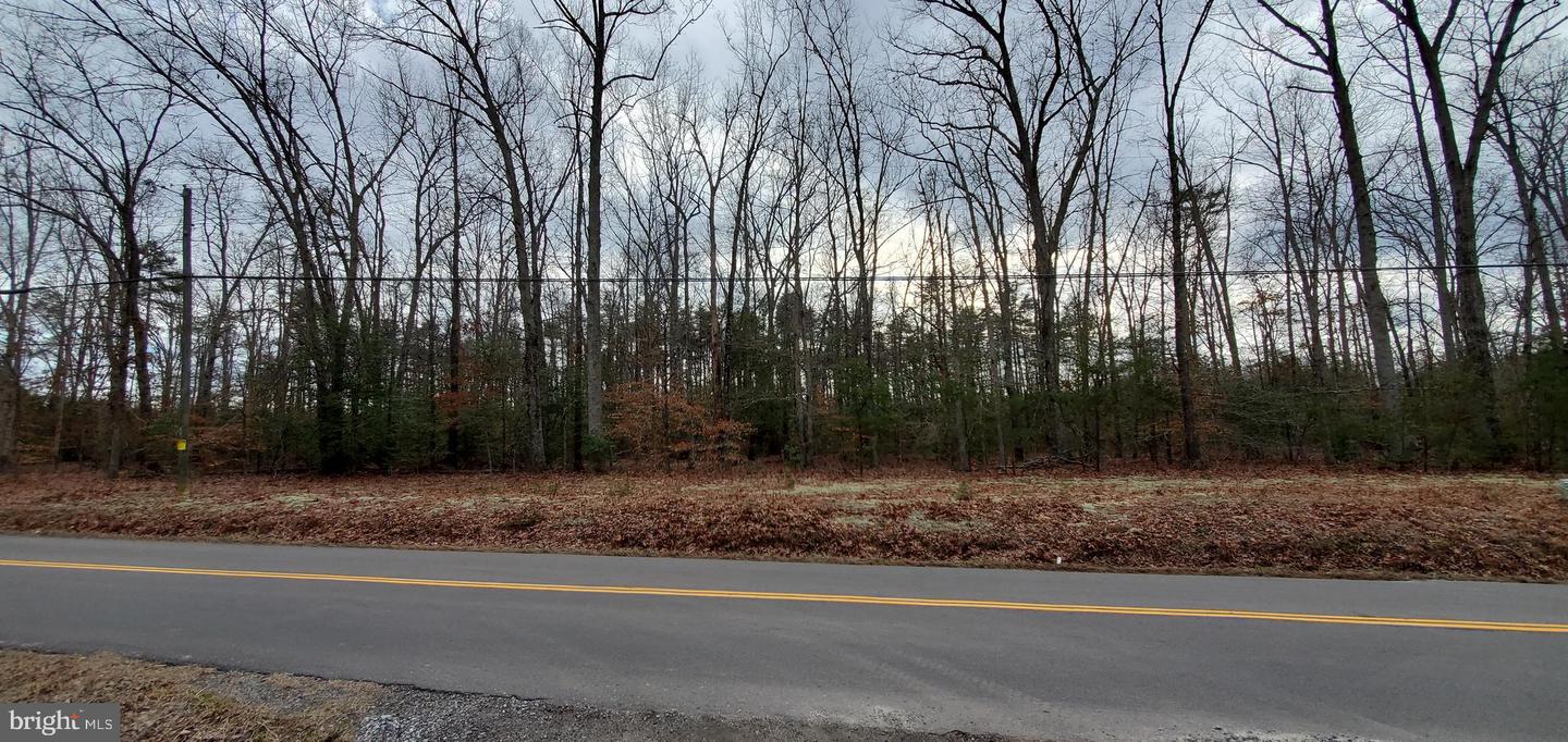 6437 HICKORY RIDGE RD, SPOTSYLVANIA, Virginia 22551, ,Land,For sale,6437 HICKORY RIDGE RD,VASP2030704 MLS # VASP2030704