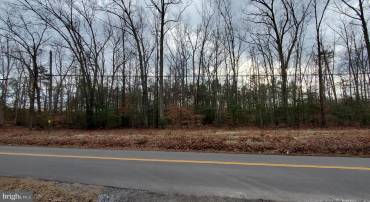 6437 HICKORY RIDGE RD, SPOTSYLVANIA, Virginia 22551, ,Land,For sale,6437 HICKORY RIDGE RD,VASP2030704 MLS # VASP2030704