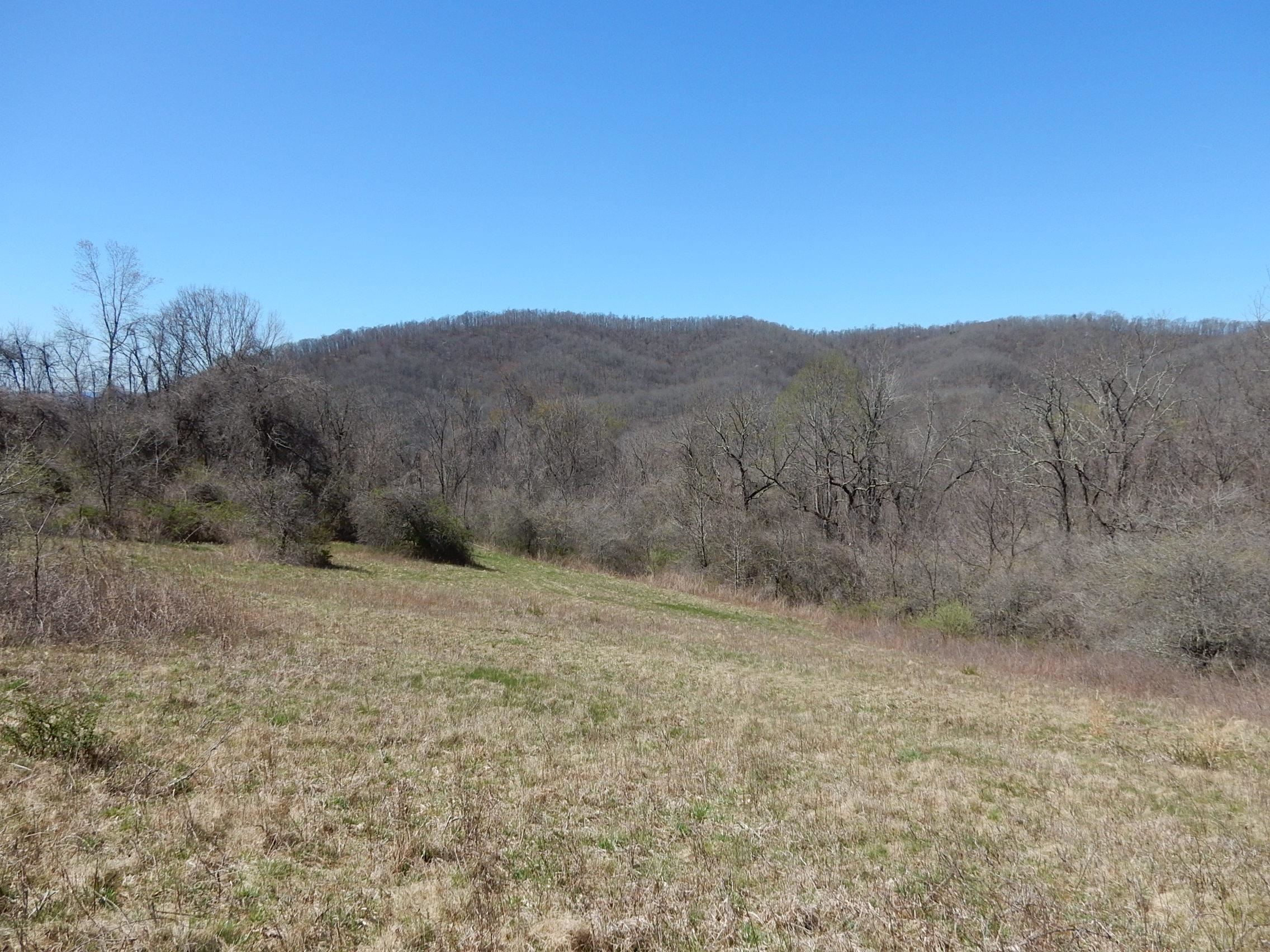 tbd SAM SNEAD HWY, WARM SPRINGS, Virginia 24484, ,Land,Chimney Run Farm Parcel,tbd SAM SNEAD HWY,640483 MLS # 640483