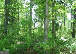 LOT 125 MAIN SAIL CT, GREENBACKVILLE, Virginia 23356, ,Land,For sale,LOT 125 MAIN SAIL CT,VAAC2001620 MLS # VAAC2001620