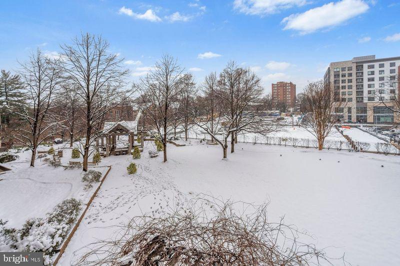 4141 N HENDERSON RD #314, ARLINGTON, Virginia 22203, ,1 BathroomBathrooms,Residential,For sale,4141 N HENDERSON RD #314,VAAR2053400 MLS # VAAR2053400