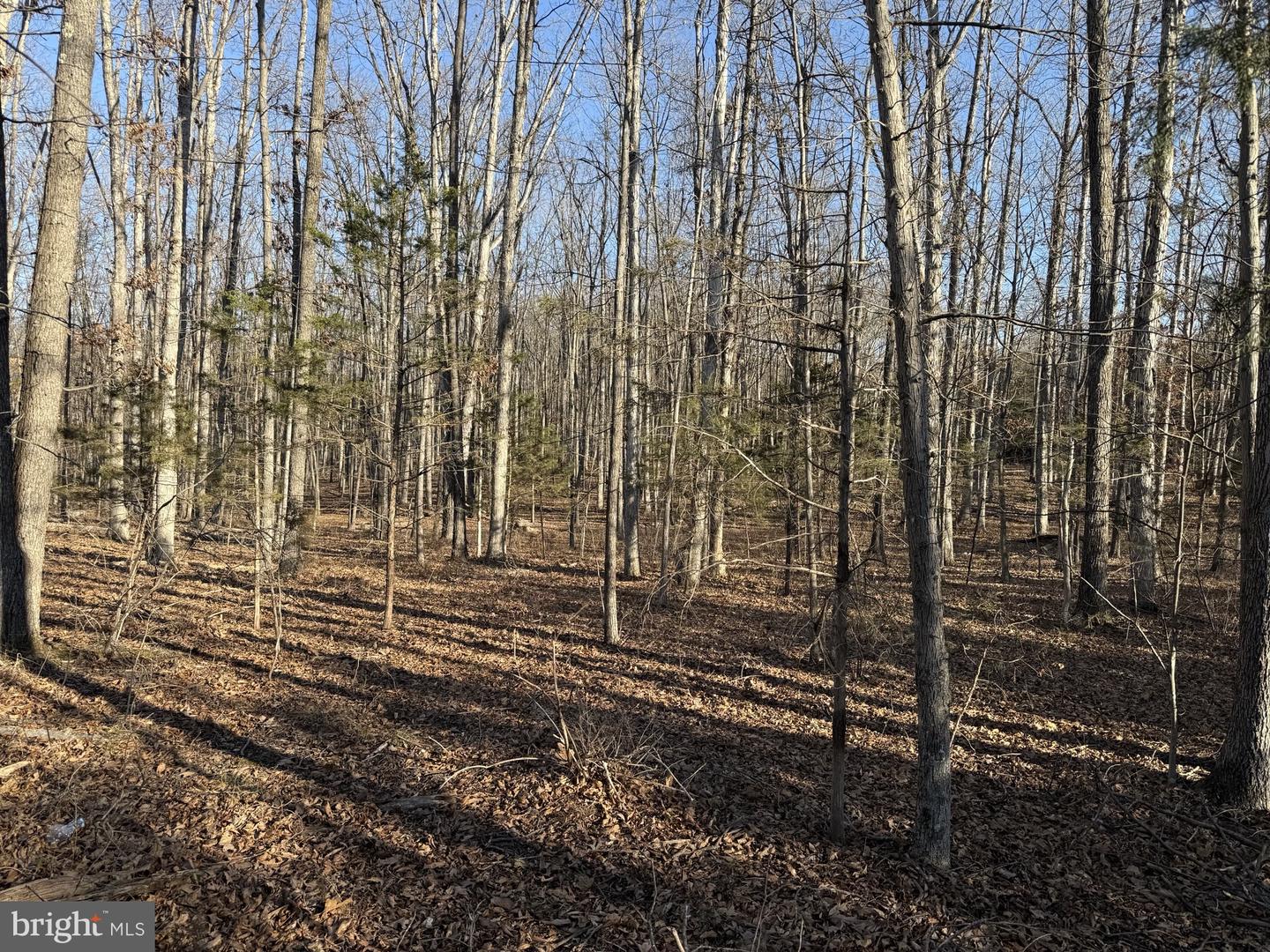 LOT 83A RELIANCE, MIDDLETOWN, Virginia 22645, ,Land,For sale,LOT 83A RELIANCE,VAFV2024370 MLS # VAFV2024370