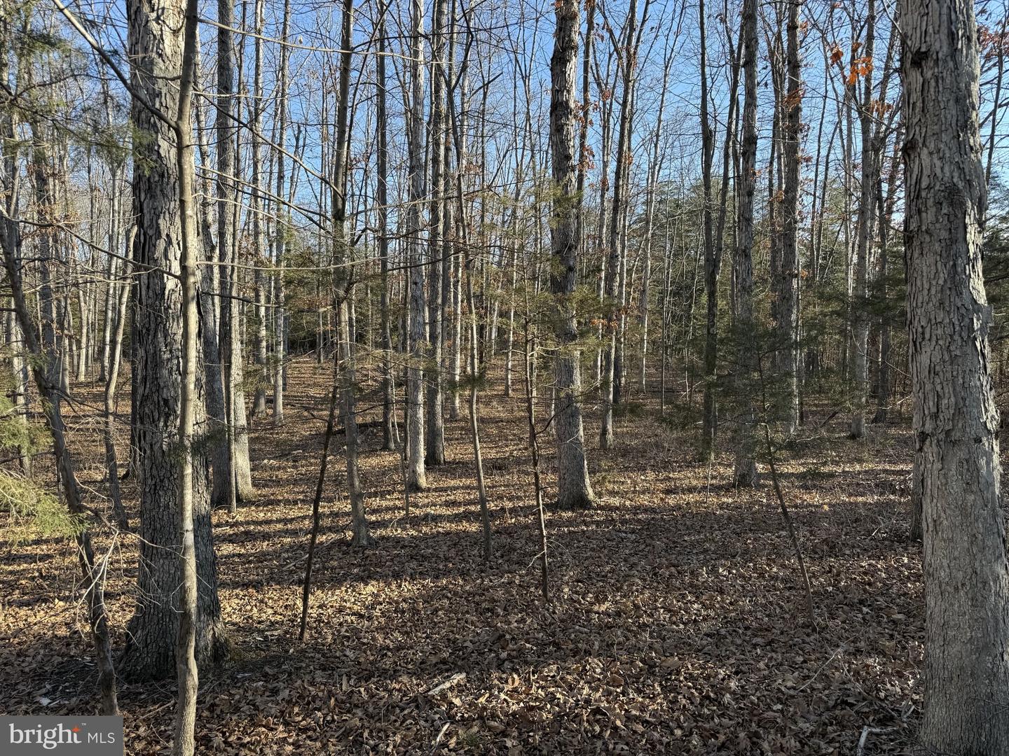 LOT 83A RELIANCE, MIDDLETOWN, Virginia 22645, ,Land,For sale,LOT 83A RELIANCE,VAFV2024370 MLS # VAFV2024370