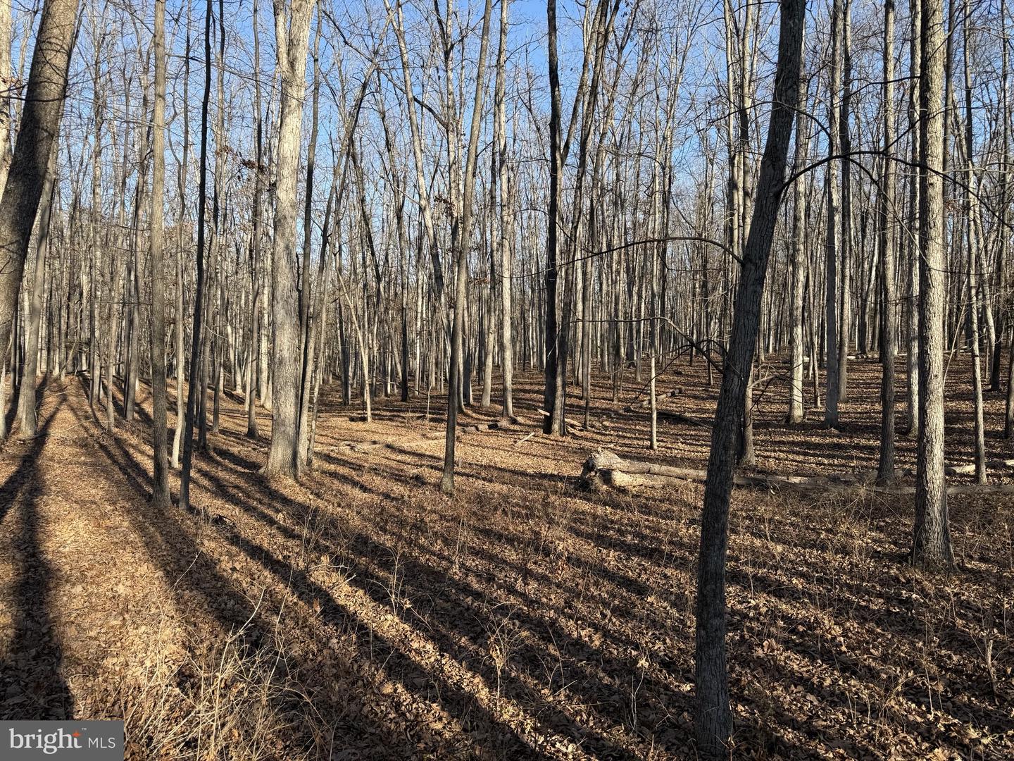 LOT 83A RELIANCE, MIDDLETOWN, Virginia 22645, ,Land,For sale,LOT 83A RELIANCE,VAFV2024370 MLS # VAFV2024370