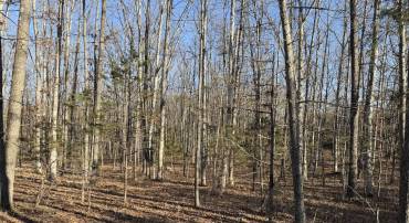 LOT 83A RELIANCE, MIDDLETOWN, Virginia 22645, ,Land,For sale,LOT 83A RELIANCE,VAFV2024370 MLS # VAFV2024370