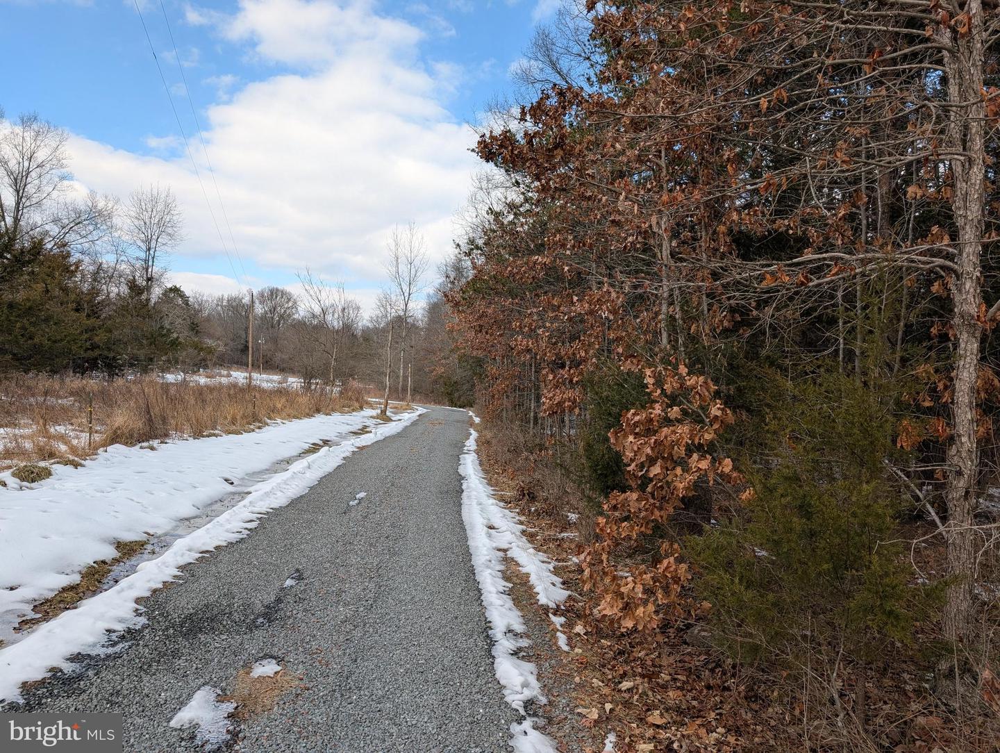 RAPIDAN ROAD, RAPIDAN, Virginia 22733, ,Land,For sale,RAPIDAN ROAD,VACU2009782 MLS # VACU2009782